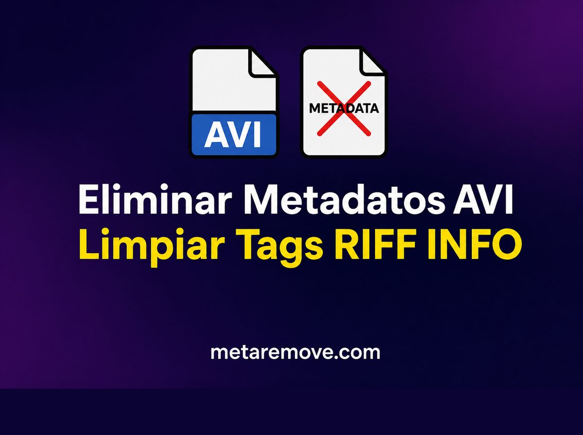 Eliminando tags de metadatos RIFF INFO de un archivo de video AVI