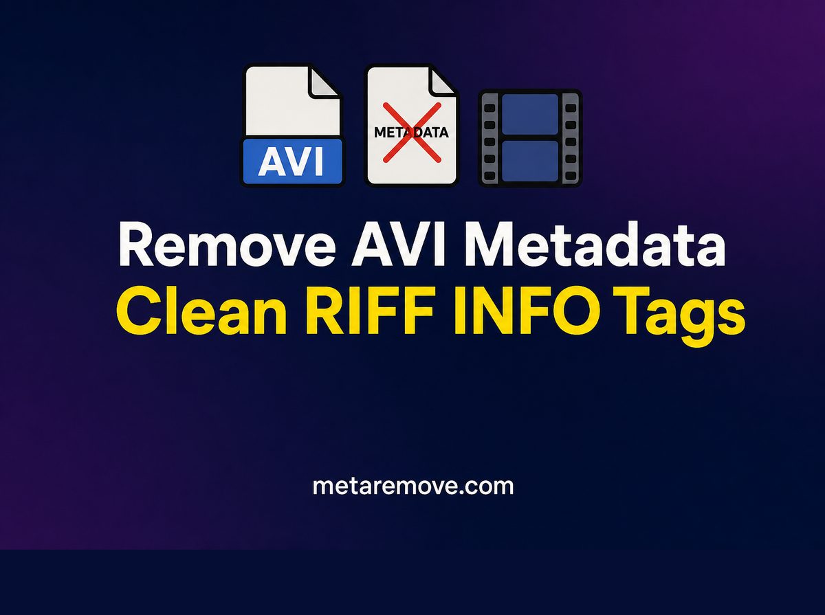 Removing RIFF INFO metadata tags from an AVI video file